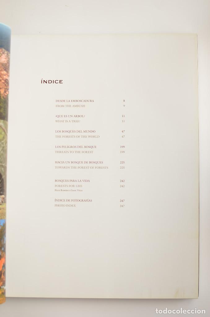 Libros: Bosques - ARAUJO, Joaqu&iacute;n - Dedicatoria aut&oacute;grafa del autor - Foto 5