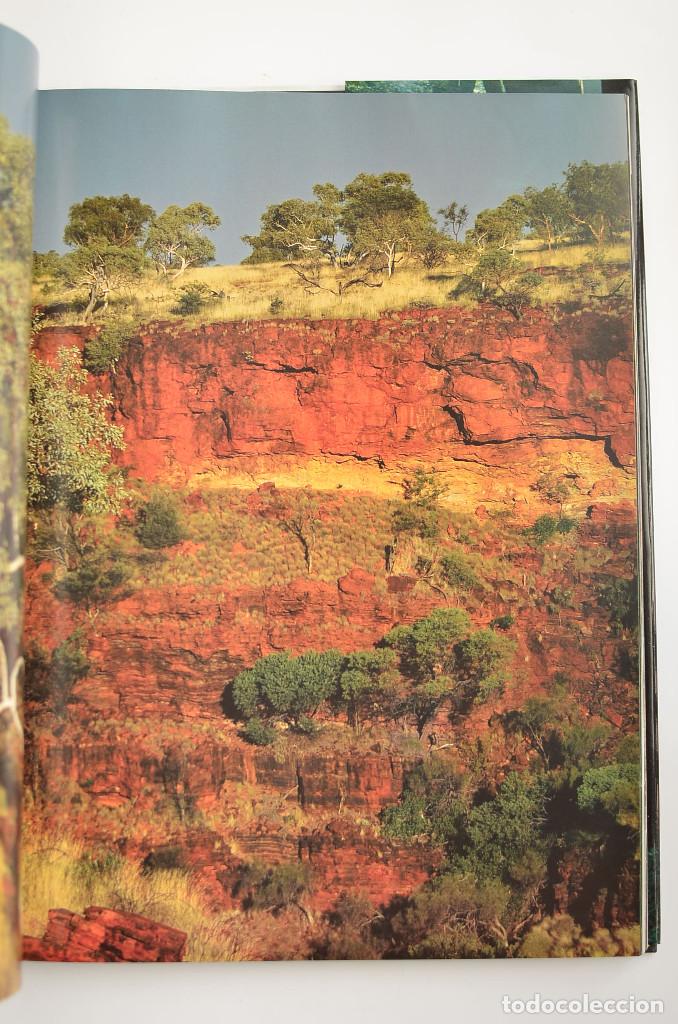 Libros: Bosques - ARAUJO, Joaqu&iacute;n - Dedicatoria aut&oacute;grafa del autor - Foto 7
