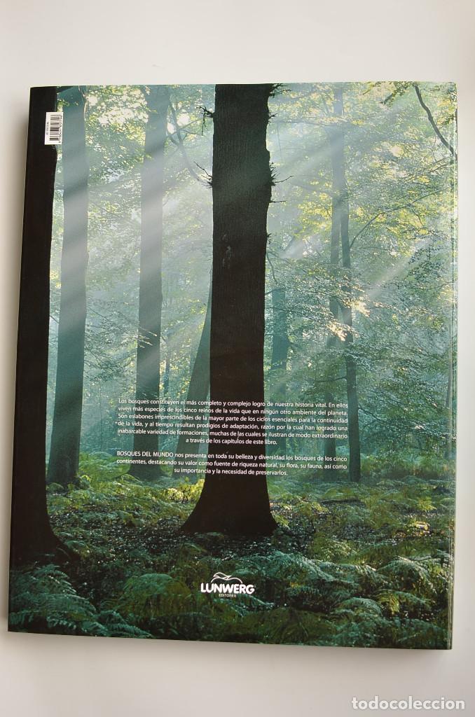 Libros: Bosques - ARAUJO, Joaqu&iacute;n - Dedicatoria aut&oacute;grafa del autor - Foto 11