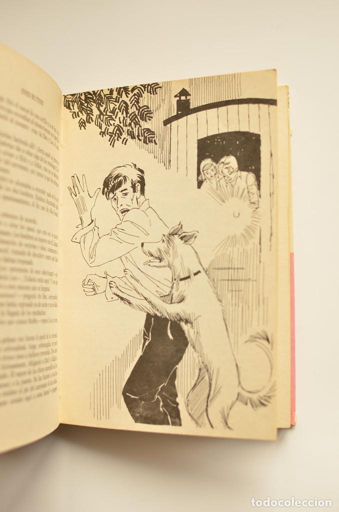 Libros: Los cinco en la caravana - BLYTON, Enid - Foto 4