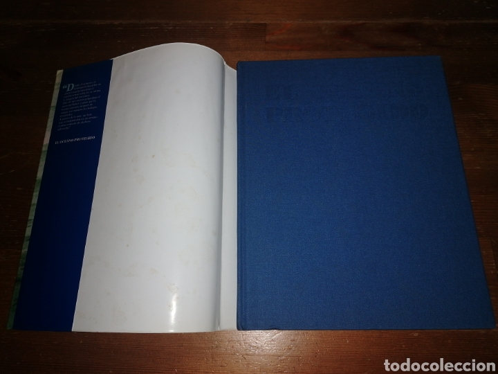 Libros: EL OCEANO PROTEGIDO - Juan Carlos Arbex - Foto 2
