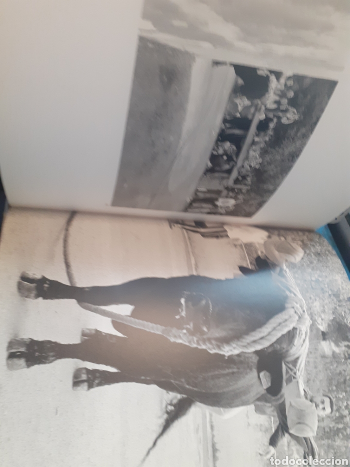 Libros: LES HUIT CARES DEL MINOTAURE - MOLLA,Xavier - Foto 6