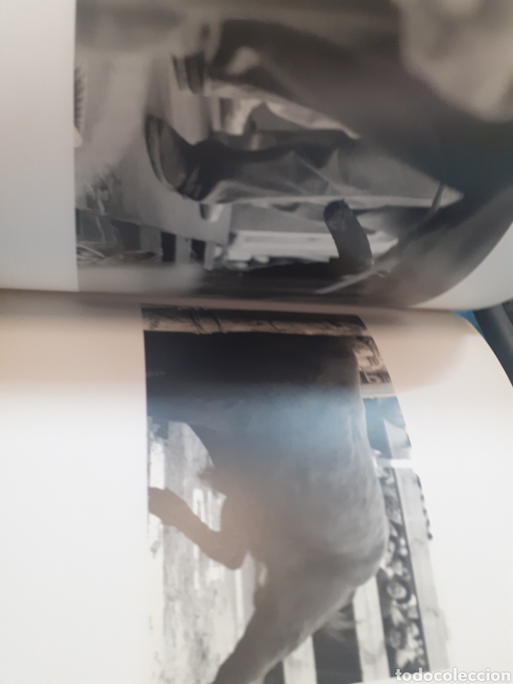 Libros: LES HUIT CARES DEL MINOTAURE - MOLLA,Xavier - Foto 7