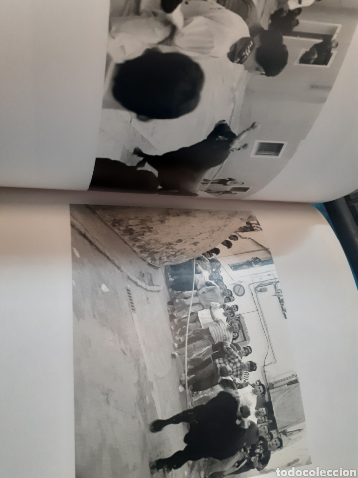 Libros: LES HUIT CARES DEL MINOTAURE - MOLLA,Xavier - Foto 8
