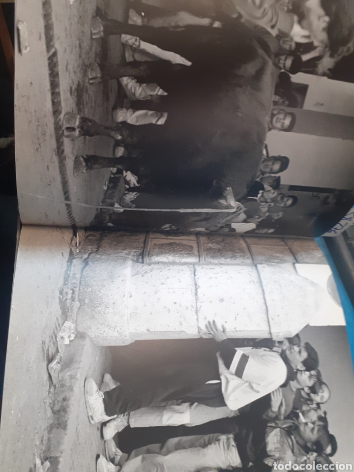 Libros: LES HUIT CARES DEL MINOTAURE - MOLLA,Xavier - Foto 10