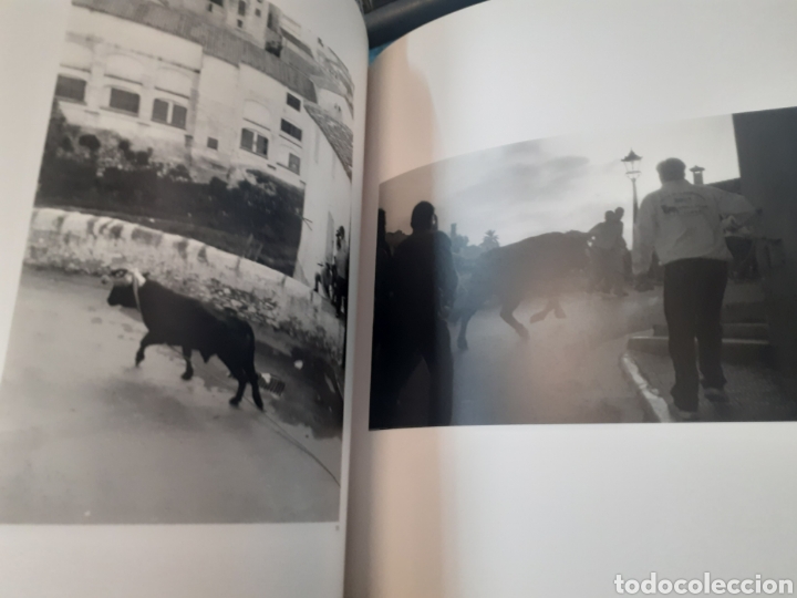 Libros: LES HUIT CARES DEL MINOTAURE - MOLLA,Xavier - Foto 11