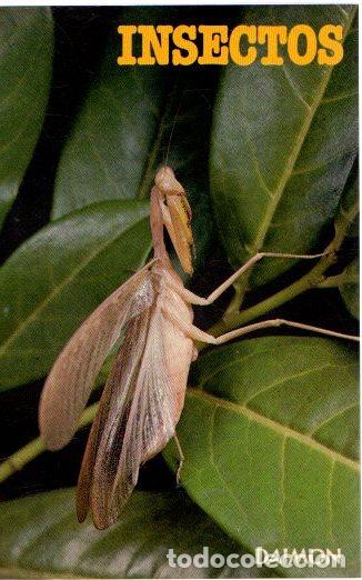 Libros: Insectos y ar&aacute;cnidos - Burton, Maurice - Foto 1