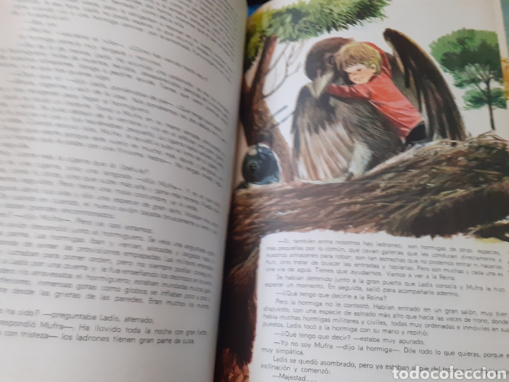 Libros: UN GRAN PEQUE&Ntilde;O - SANCHEZ SILVA,Jos&eacute; Mar&iacute;a - Foto 5