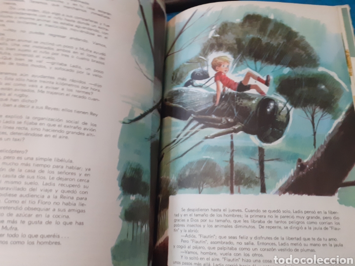 Libros: UN GRAN PEQUE&Ntilde;O - SANCHEZ SILVA,Jos&eacute; Mar&iacute;a - Foto 6
