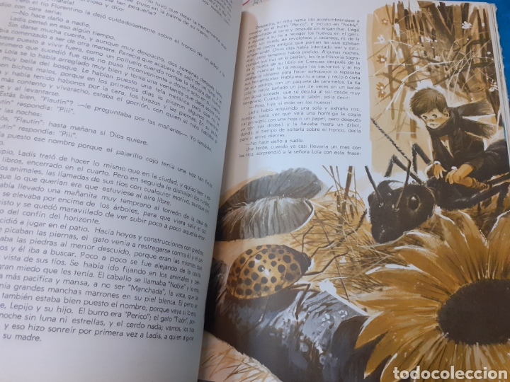 Libros: UN GRAN PEQUE&Ntilde;O - SANCHEZ SILVA,Jos&eacute; Mar&iacute;a - Foto 7