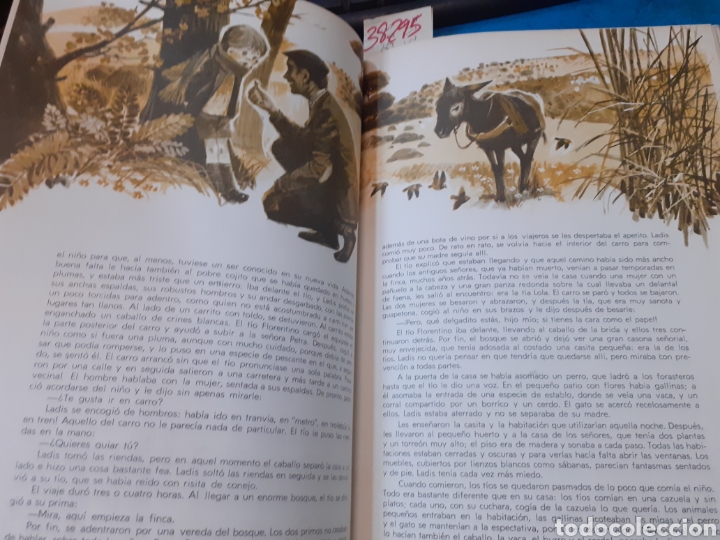 Libros: UN GRAN PEQUE&Ntilde;O - SANCHEZ SILVA,Jos&eacute; Mar&iacute;a - Foto 8