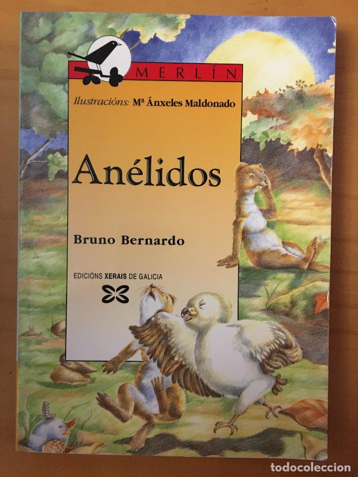 Libros: ANELIDOS - BRUNO BERNARDO - Foto 1