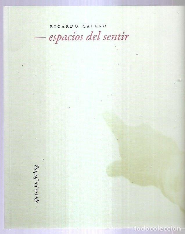 Libros: RICARDO CALERO: ESPACIOS DEL SENTIR - VARIOS - Foto 2