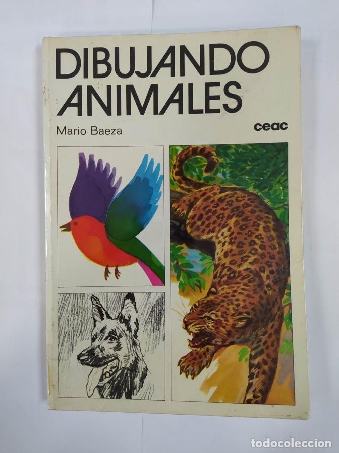 Libros: Dibujando animales. - Mario Baeza. TDK674 - Foto 1