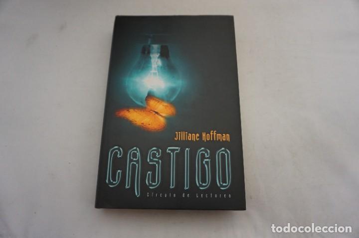 Libros: AR13E/ CASTIGO - JULLIANE HOFFMAN / CIRCULO DE LECTORES - Foto 1