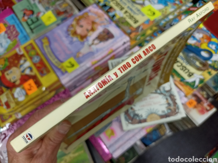 Libros: Anatom&iacute;a y tir&oacute; con arco Ray Axford, editorial Tutor - Foto 3
