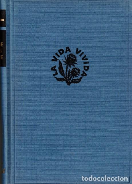 Libros: Noche tras noche - An&oacute;nimo - Foto 1