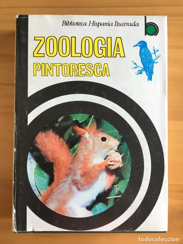 Libros: ZOOLOGIA PINTORESCA - BIBLIOTECA HISPANIA ILUSTRADA - 1973 - Foto 1
