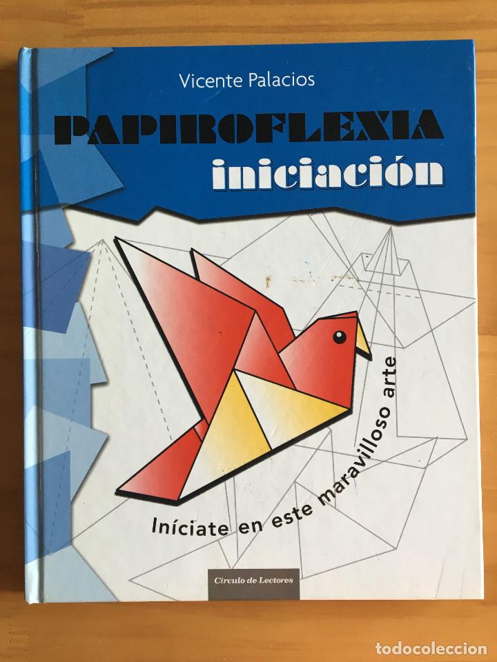 Libros: PAPIROFLEXIA INICIACION - VICENTE PALACIOS - Foto 1