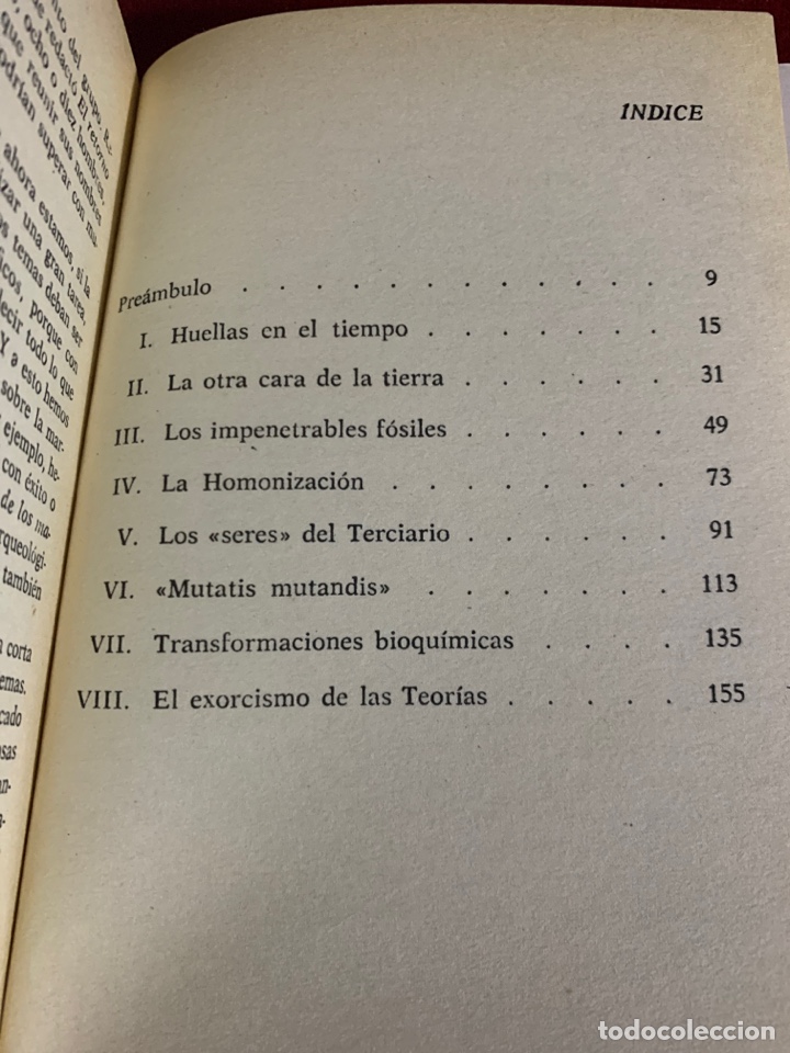 Libros: El enigma del origen del hombre. P. Guirao. - Foto 4