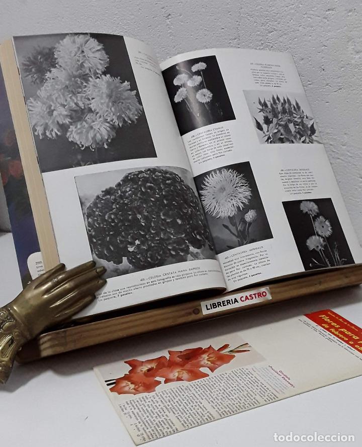 Libros: Kanda. Semillas de flores selectas. Libro cat&aacute;logo N&ordm; 3 - Varios - Foto 2