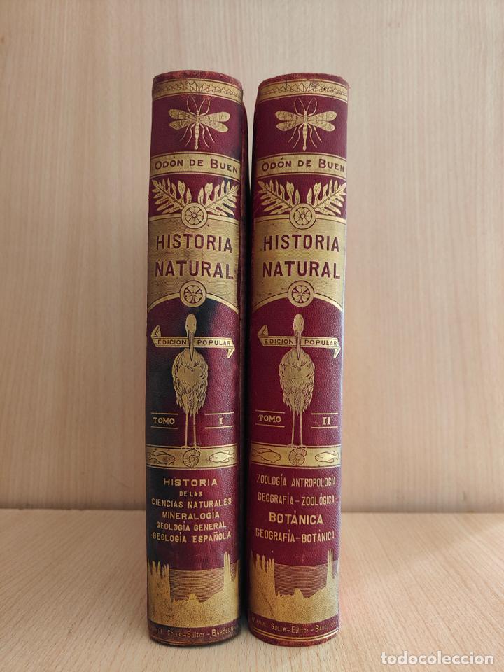 Libros: HISTORIA NATURAL - 2 Tomos - Foto 3