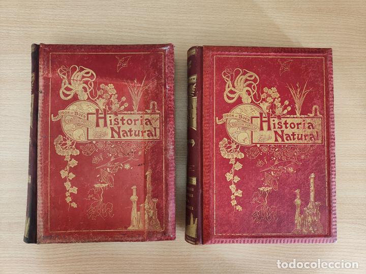 Libros: HISTORIA NATURAL - 2 Tomos - Foto 1