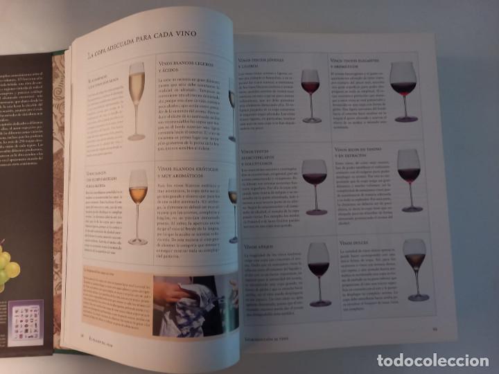 Libros: EL VINO. Andr&eacute; Domine. KONEMAN - Foto 5