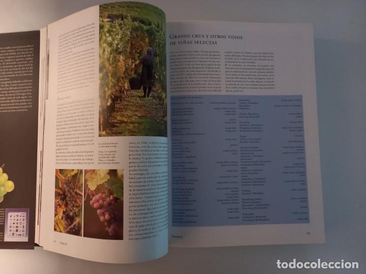 Libros: EL VINO. Andr&eacute; Domine. KONEMAN - Foto 6