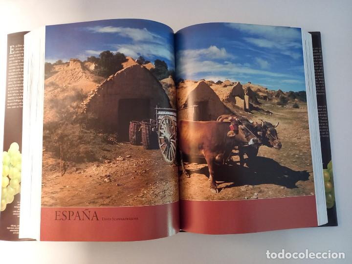 Libros: EL VINO. Andr&eacute; Domine. KONEMAN - Foto 7