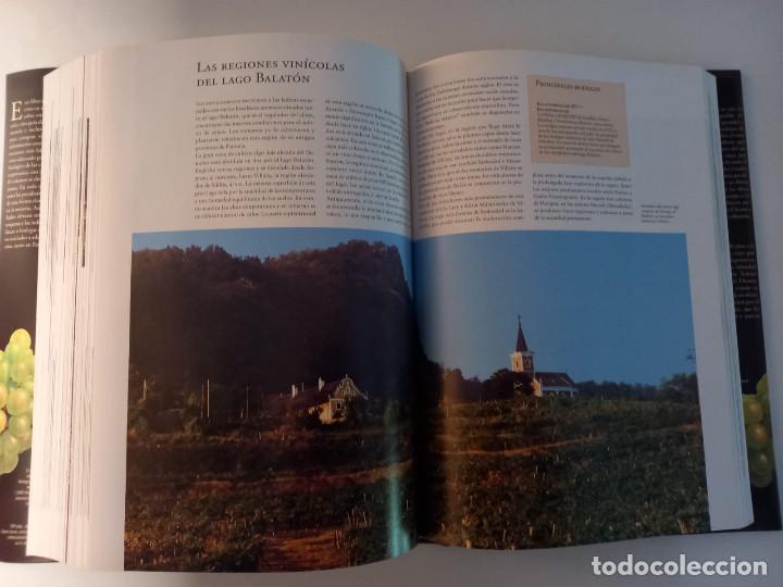 Libros: EL VINO. Andr&eacute; Domine. KONEMAN - Foto 9