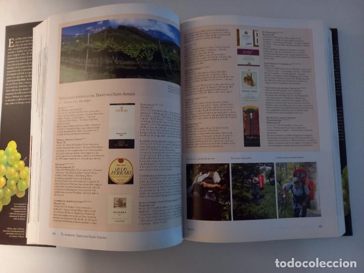 Libros: EL VINO. Andr&eacute; Domine. KONEMAN - Foto 10