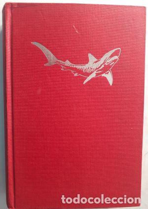 Libros: Tibur&oacute;n - Peter Benchley - Foto 1