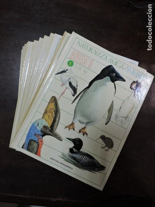 Livros em segunda m&atilde;o: Lote de 12 tomos. Naturaleza / Amiga. N&ordm; 1-7, 9-11,13,15. Aves, anfibios, peces...