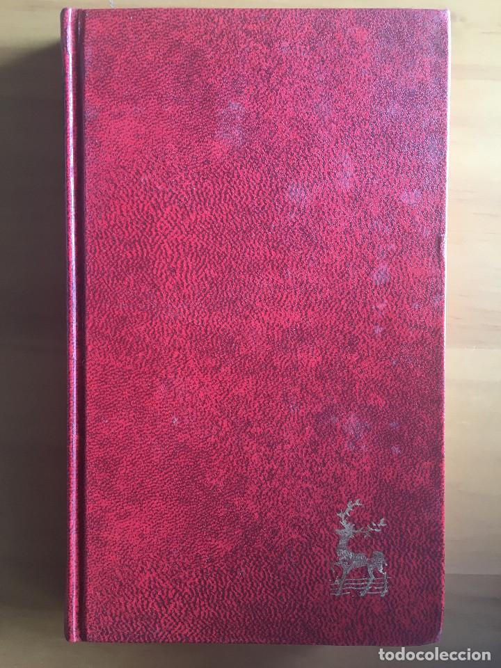 Libros: DIOS LLORA EN LA TIERRA - STAATNE - Foto 1