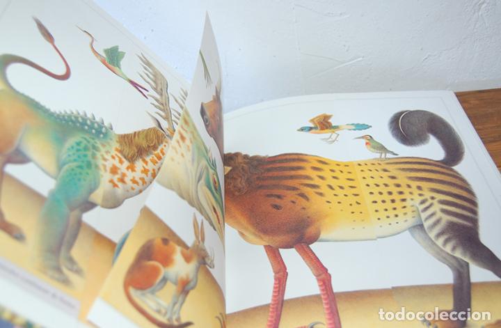 Libros: IMAGINA. UN LIBRO PARA SO&Ntilde;AR - NORMAN MESSENGER - Foto 2