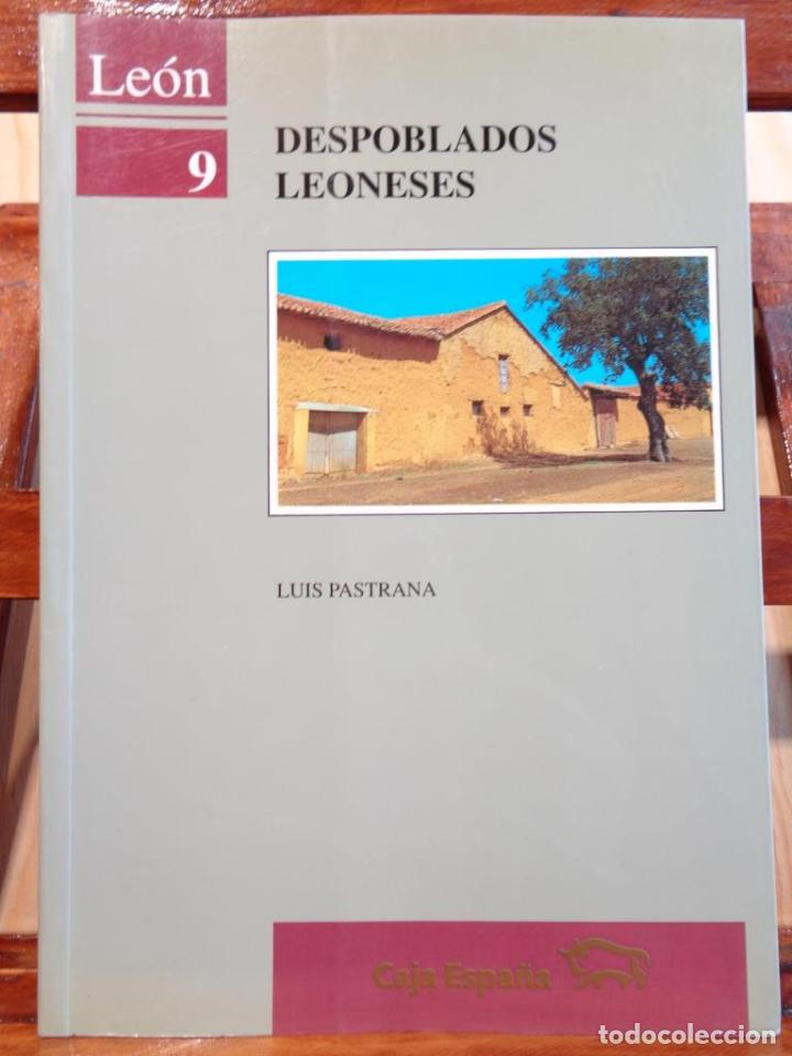 Libros: DESPOBLADOS LEONESES - LUIS PASTRANA - Foto 1