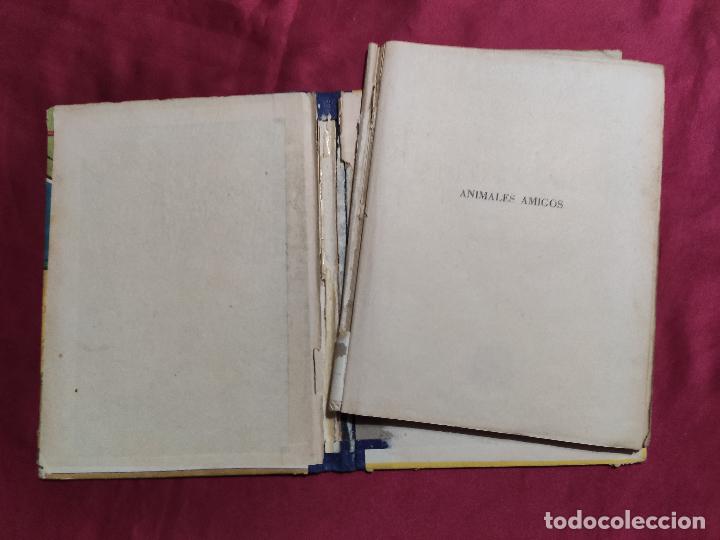 Libros: ANIMALES AMIGOS. RAM&Oacute;N ALSINA. EDITORIAL PRIMA LUCE.1962 - Foto 2