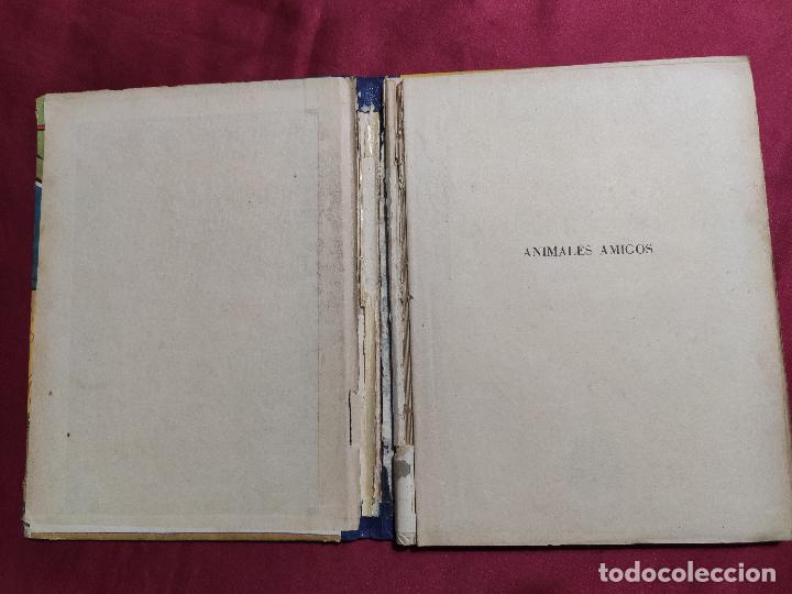 Libros: ANIMALES AMIGOS. RAM&Oacute;N ALSINA. EDITORIAL PRIMA LUCE.1962 - Foto 3
