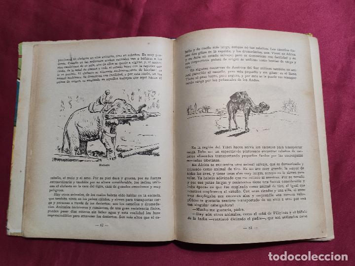 Libros: ANIMALES AMIGOS. RAM&Oacute;N ALSINA. EDITORIAL PRIMA LUCE.1962 - Foto 5