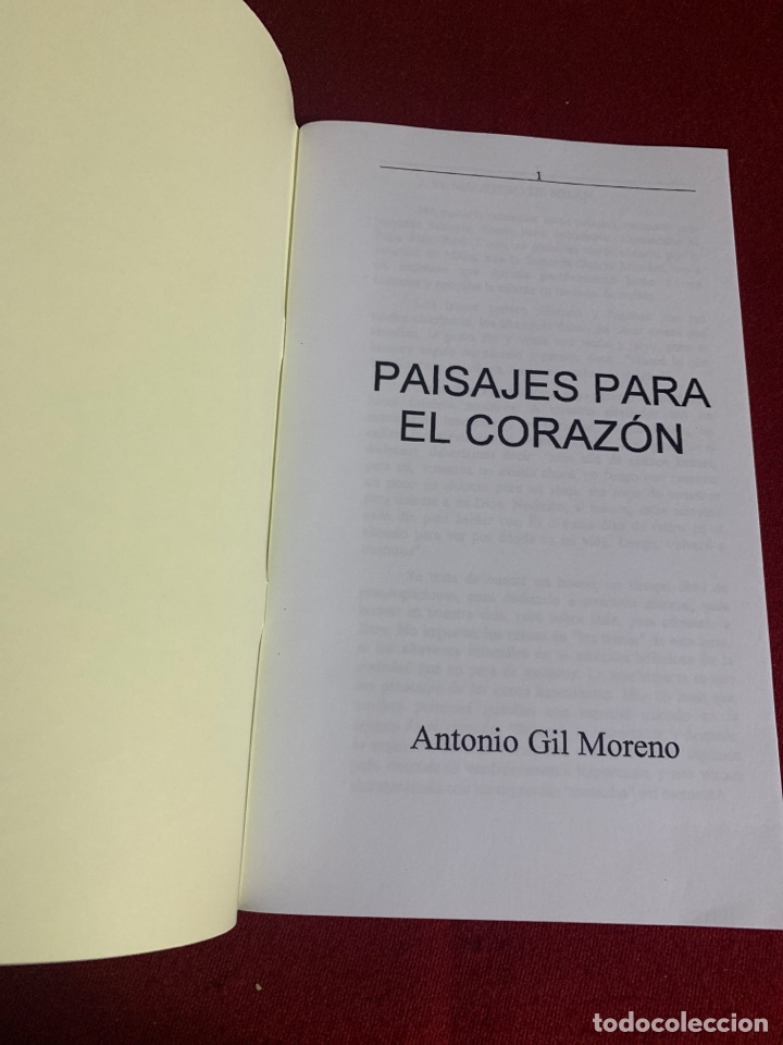 Libros: Paisajes para el coraz&oacute;n. Antonio Gil Moreno. - Foto 3