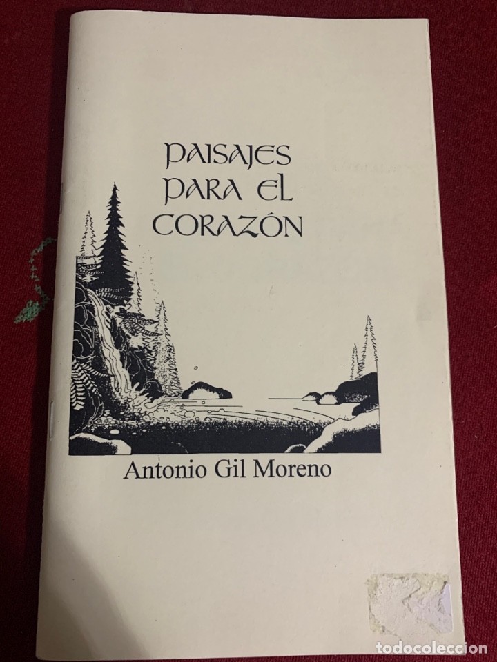 Libros: Paisajes para el coraz&oacute;n. Antonio Gil Moreno. - Foto 1