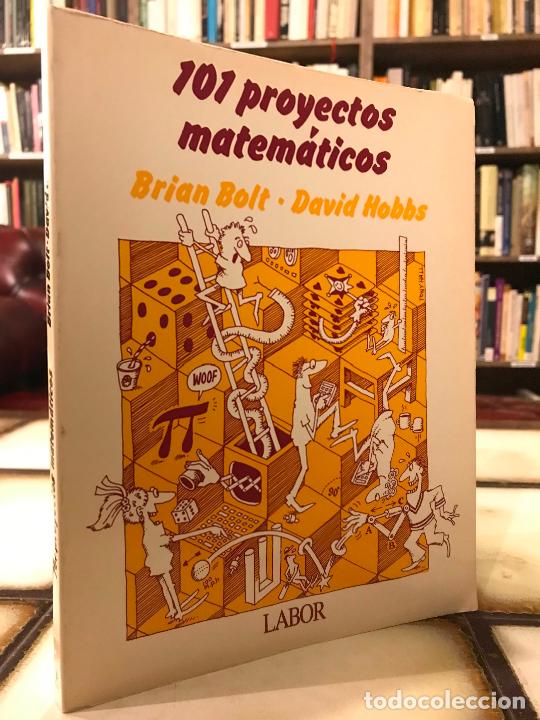 Libri di seconda mano: 101 Proyectos matem&aacute;ticos. Brian Bolt y David Hobbs.