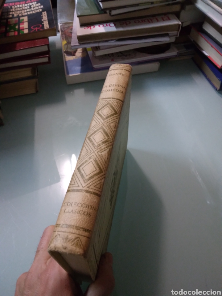 Libros: Dante Alighieri, La.divina comedia,Ediciones Nauta - Foto 2