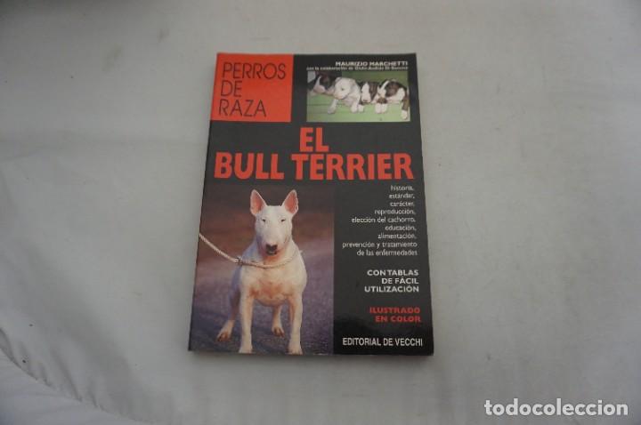 Libros: AR14AB/ EL BULL TERRIER - MAURICIO MARCHETTI / EDITORIAL DE VECCHI - Foto 1