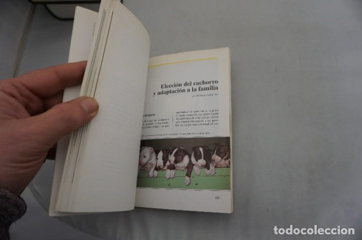 Libros: AR14AB/ EL BULL TERRIER - MAURICIO MARCHETTI / EDITORIAL DE VECCHI - Foto 4