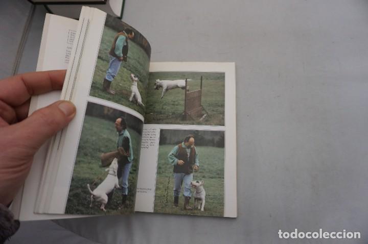 Libros: AR14AB/ EL BULL TERRIER - MAURICIO MARCHETTI / EDITORIAL DE VECCHI - Foto 5