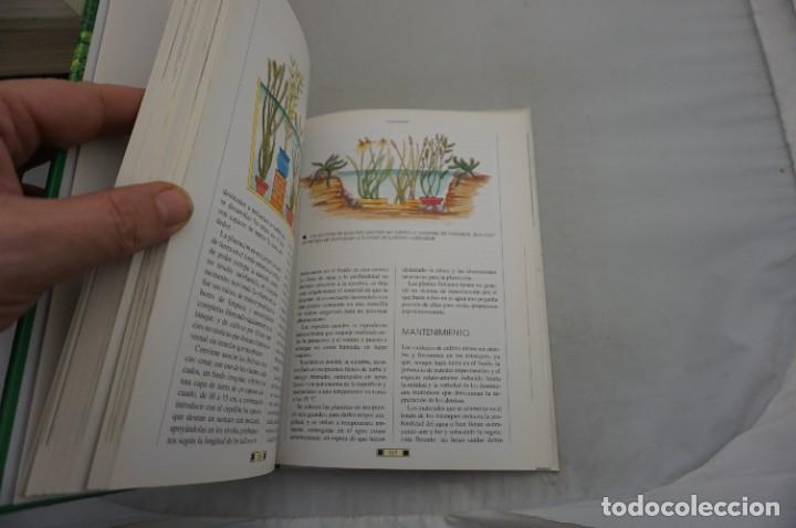 Libros: AR14AB/ EL LIBRO DEL JARDIN - FAUSTA MAINARDI FAZIO / EDITORIAL DE VECCHI - Foto 4