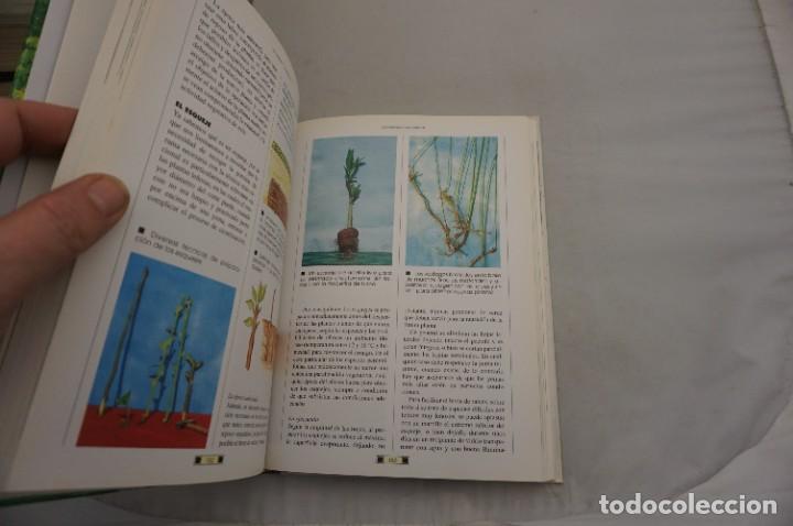 Libros: AR14AB/ EL LIBRO DEL JARDIN - FAUSTA MAINARDI FAZIO / EDITORIAL DE VECCHI - Foto 5