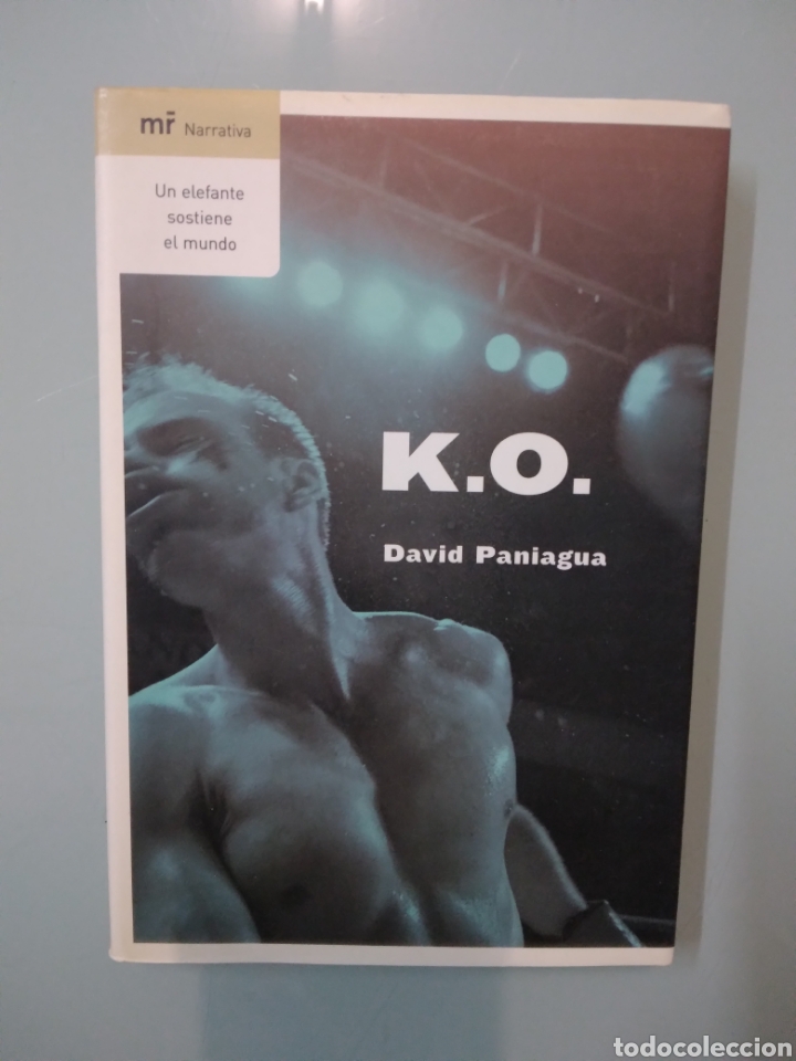 Libros: David Panam&aacute;, KO, Ed.MR - Foto 1